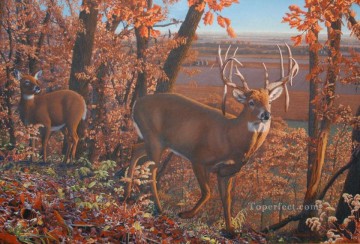 鹿 Painting - 希望的観測のオジロ